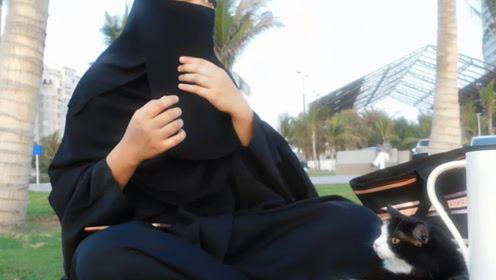 娱乐吃瓜君出道